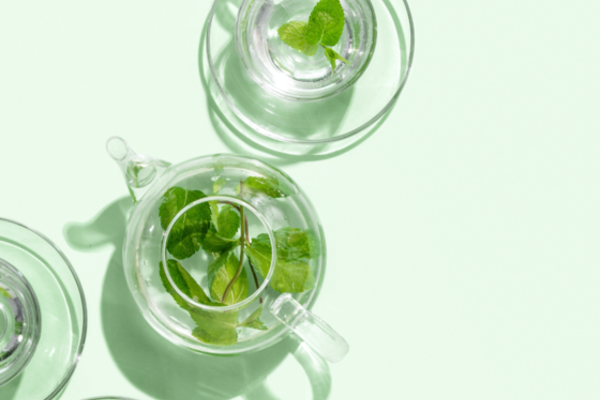 Séjour Jeûne et Marche